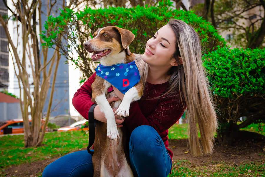 Pets: Drogavet Orienta Sobre Cuidados e Prevenção de Doenças de Inverno