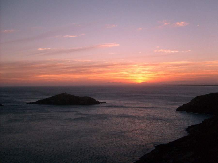 Empresários brasileiros sinalizam otimismo com medidas políticas e econômicas do governo