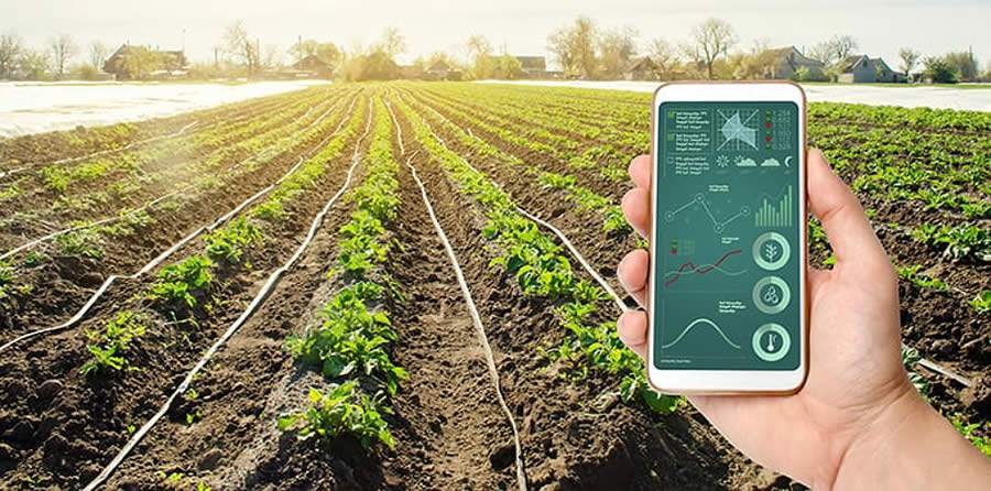 Trimble e AgTech Garage selecionam projetos de startups para otimizar custos no agronegócio - Divulgação