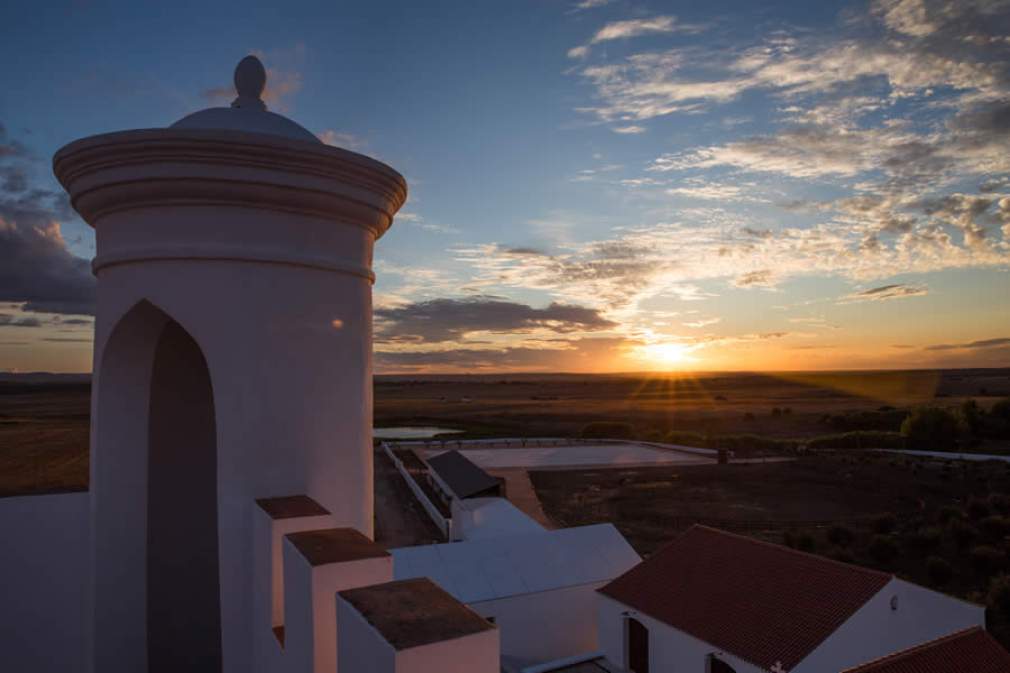 Torre de Palma Wine Hotel - Monforte - Por do sol