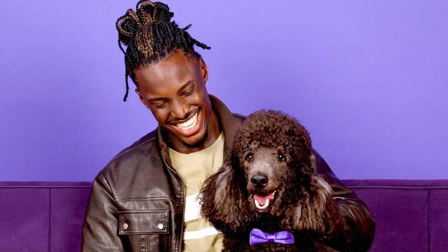 Plano de sa&uacute;de para pets: Petlove refor&ccedil;a import&acirc;ncia do cuidado com os animais de estima&ccedil;&atilde;o a partir de nova assinatura &ldquo;Se tem pet, tem que ter&rdquo;