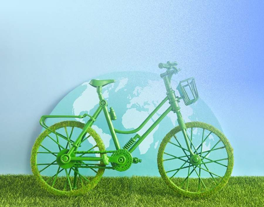 Crédito: Divulgação Seguros SURA Brasil