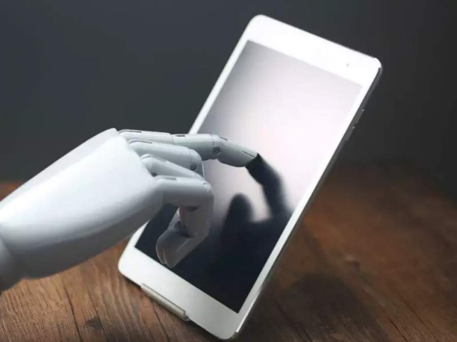 Crédito das Imagens: www.freepik.com (Divulgação)