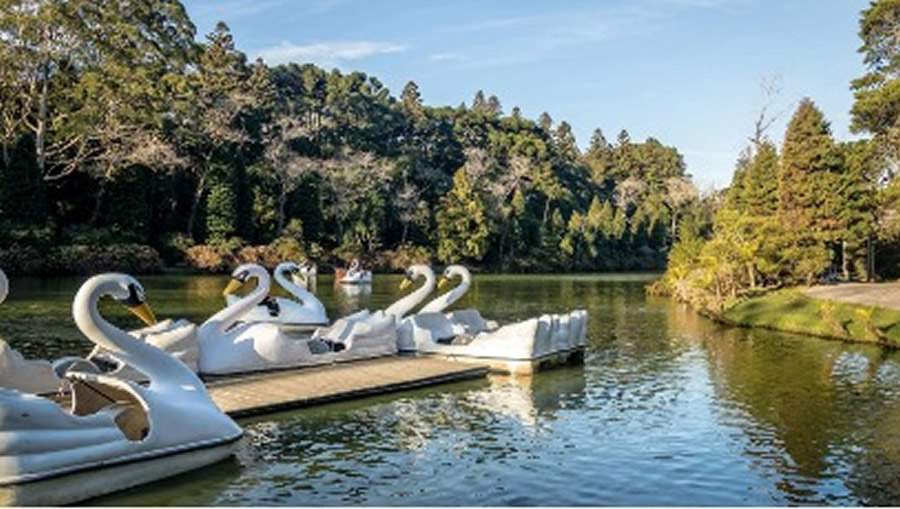 Gramado - Crédito: divulgação