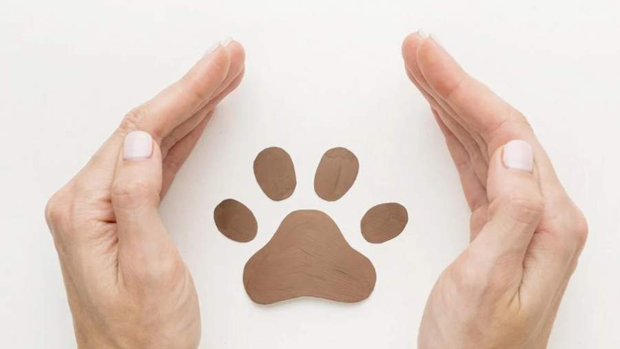 Imagem: Divulga&ccedil;&atilde;o