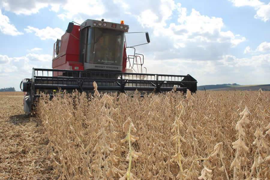 Colheita de soja na Embrapa Trigo, em Passo Fundo (RS), safra 2015. Foto de 17/03/2015 - Crédito da foto: Luiz Henrique Magnante.