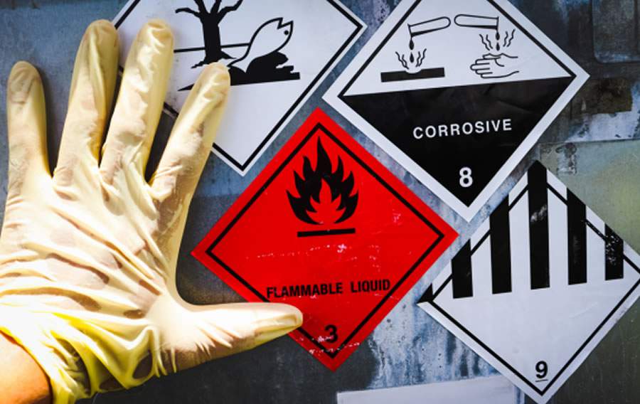 Banco de imagens / Canva