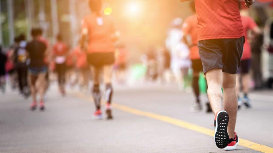 (Foto: Divulga&ccedil;&atilde;o/Canva)