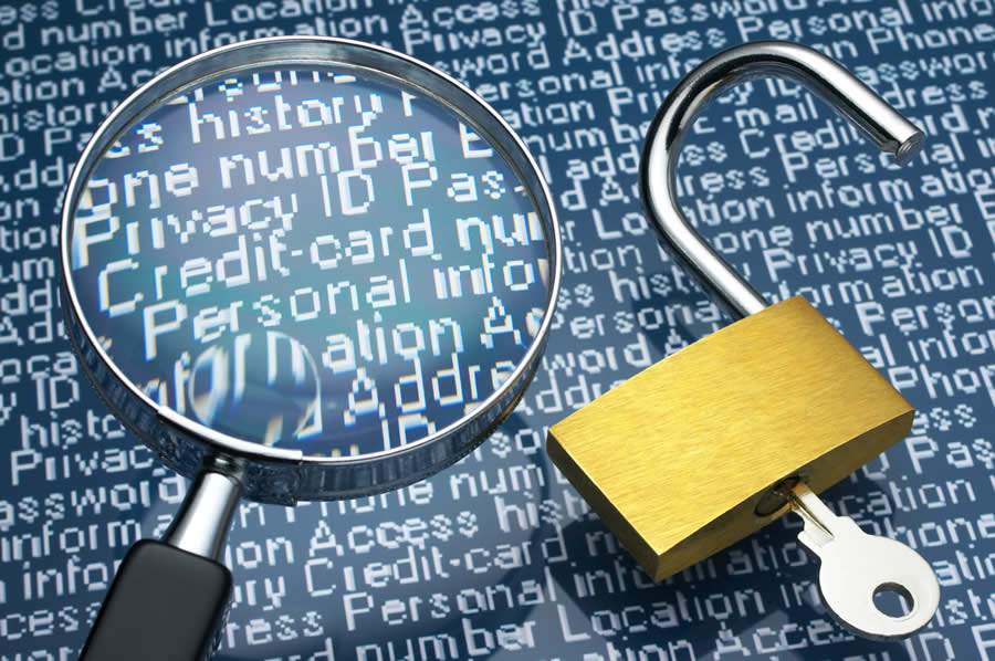 Imagem: Divulga&ccedil;&atilde;o