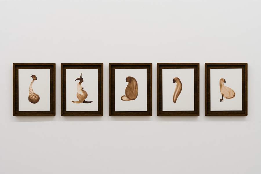 Cr&eacute;dito: Divulga&ccedil;&atilde;o 