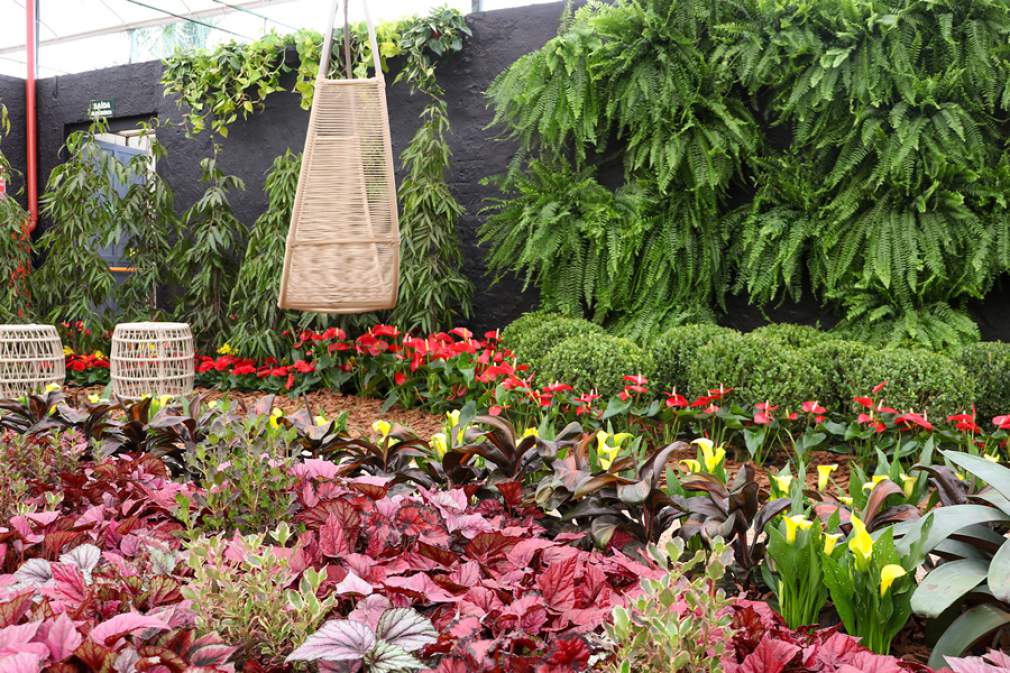 Muro em pedra rustica  Jardins rústicos, Decoração de jardim externo,  Escada para jardim