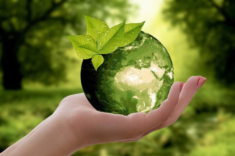 ANS investe em ações de sustentabilidade