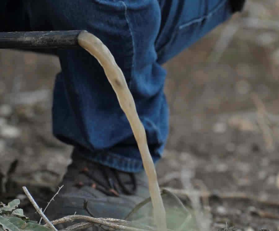  Divulgação Rivulis