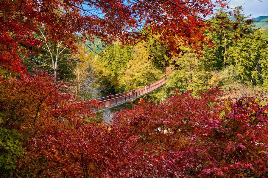 Akigawa Valley - Tóquio - crédito © TCVB