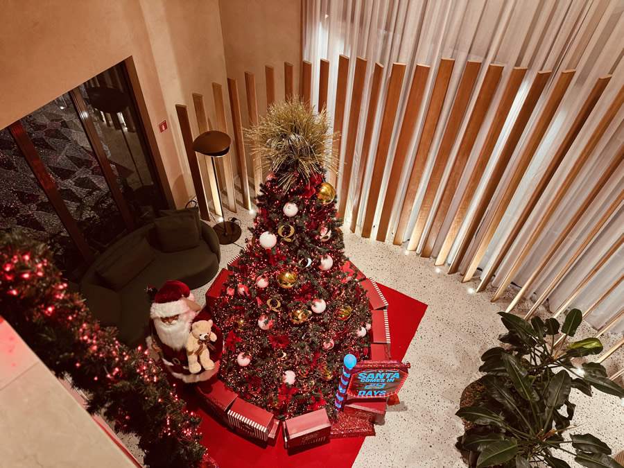 A árvore como espaço de convivência - Digulgação