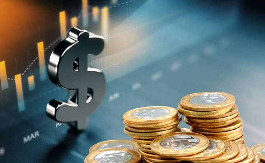 reprodu&ccedil;&atilde;o