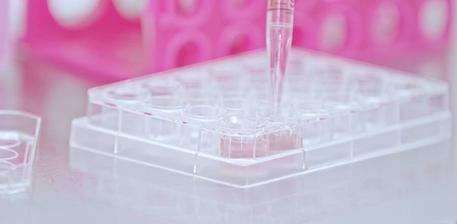 Cr&eacute;dito: Divulga&ccedil;&atilde;o