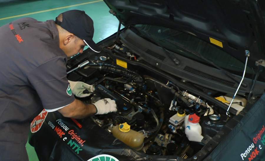 Divulga&ccedil;&atilde;o