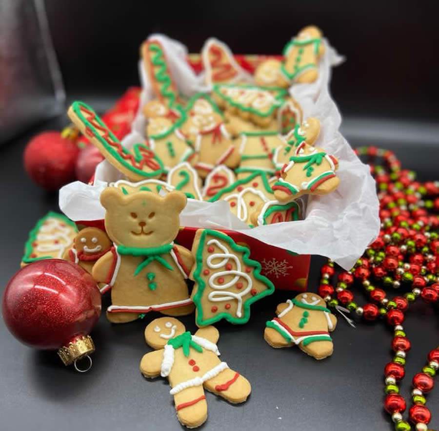 Fotos: Acervo pessoal/ Divulgação / MF Press Global