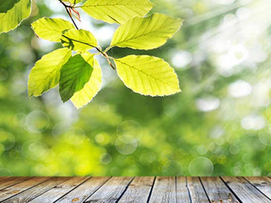 Indenizações pagas por seguradoras para setor agrícola aumentam 87% em 2016