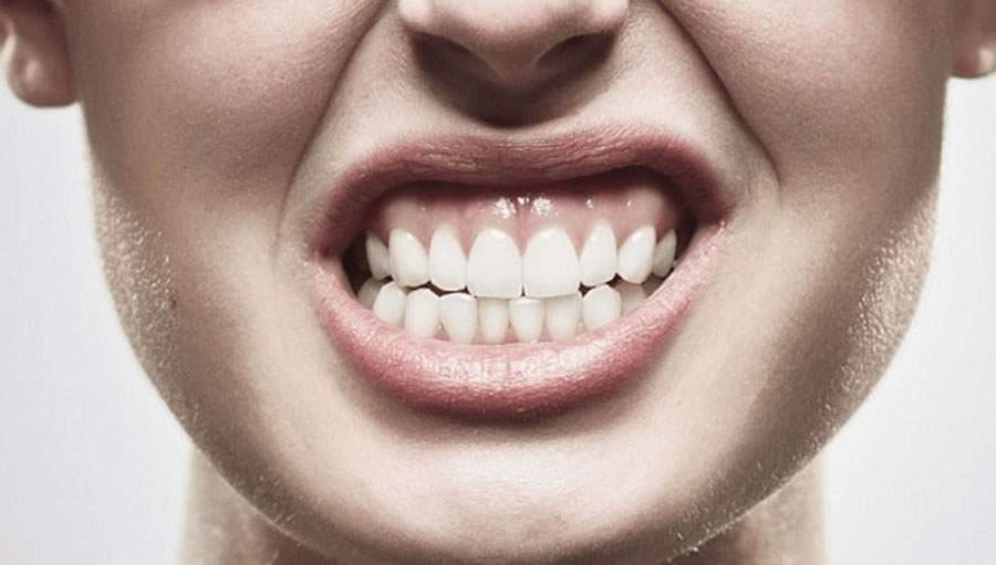 Imagem: Divulgação