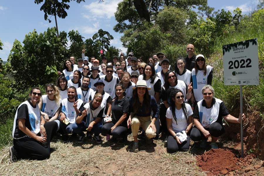 MetLife realiza o plantio de 5.000 mudas de &aacute;rvores na regi&atilde;o de Nazar&eacute; Paulista