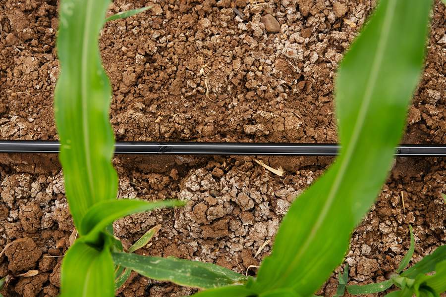 Irrigação ajuda na redução de emissões dos gases do efeito estufa