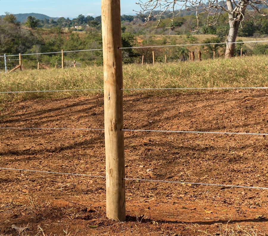 BELGO-Z-700-Credito-Divulgacao