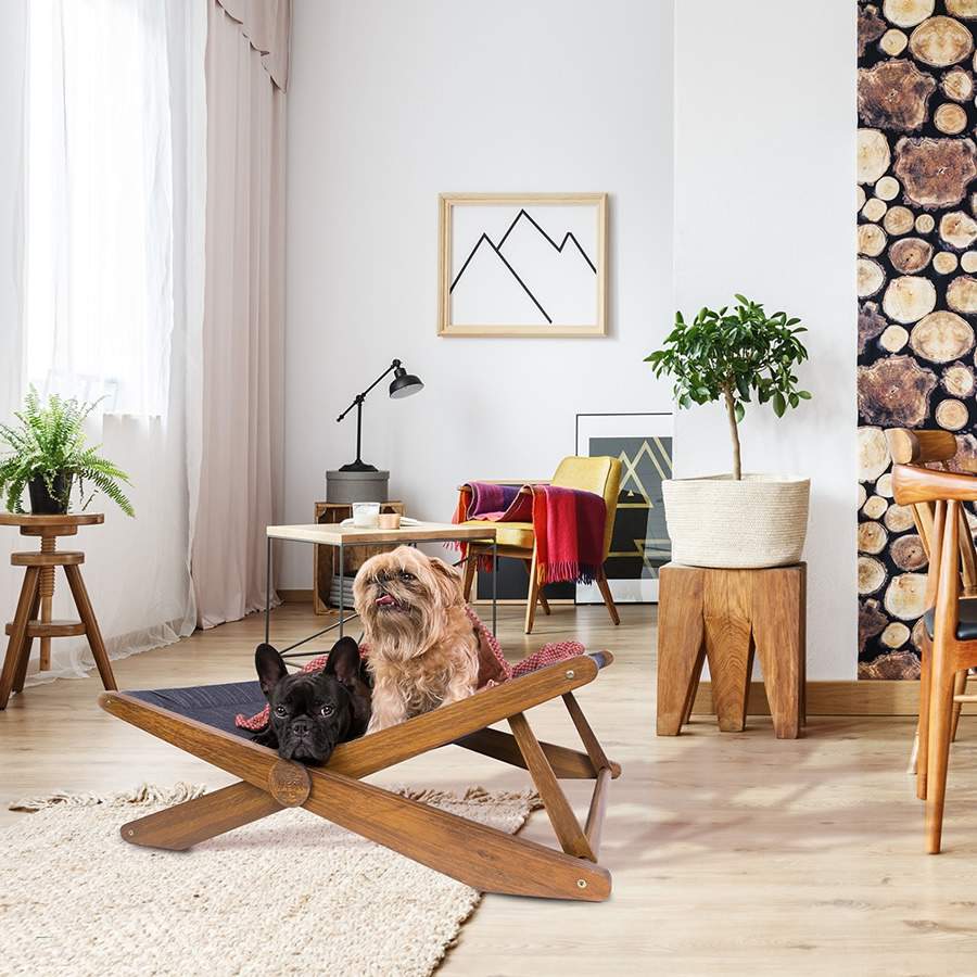 Acess&oacute;rios para pets com design e estilo complementam a decora&ccedil;&atilde;o