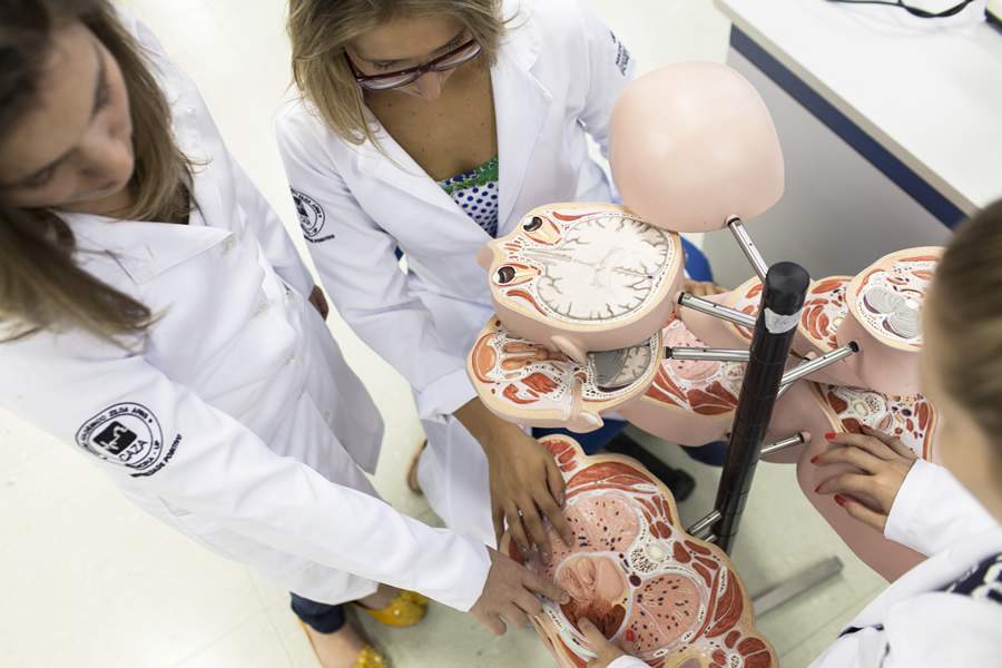 Cr&eacute;dito: divulga&ccedil;&atilde;o/Universidade Positivo