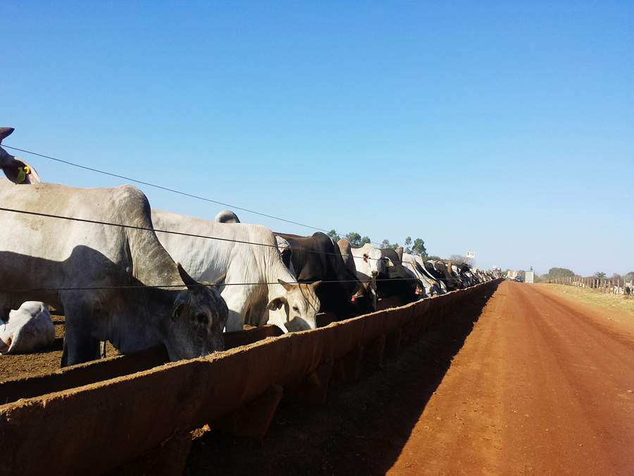 Cr&eacute;dito: Divulga&ccedil;&atilde;o