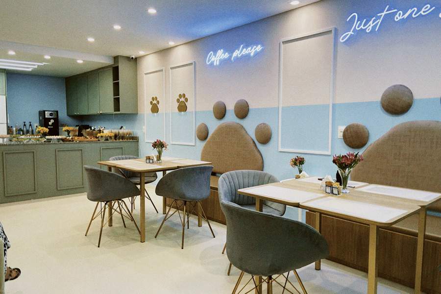 De &ldquo;especial do chef&rdquo; a sorvetes para pets. Com 168 milh&otilde;es de animais de estima&ccedil;&atilde;o no pa&iacute;s, empresa catarinense inova e inaugura cafeteria especializada