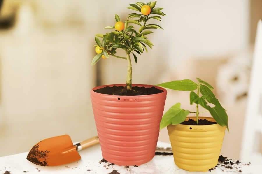 Divulgação/Tramontina