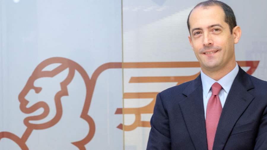 Michele Cherubini, Head de Marketing