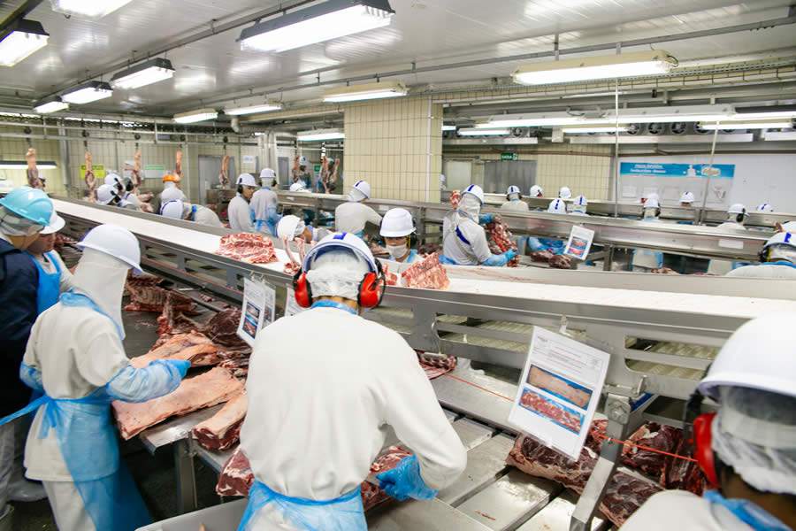 Grupo Frigol faz parte dos Gigantes do Agronegócio Brasileiro