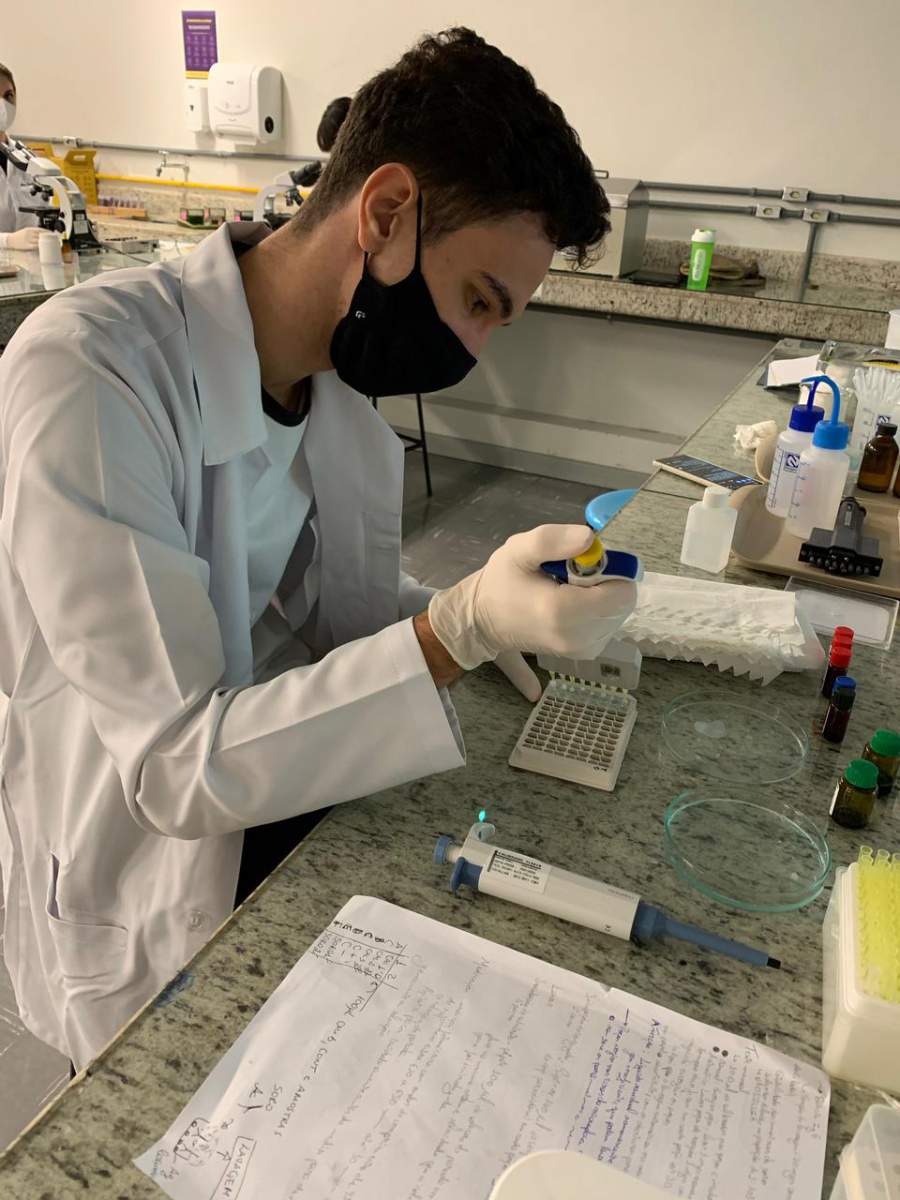 Imagem: Divulgação