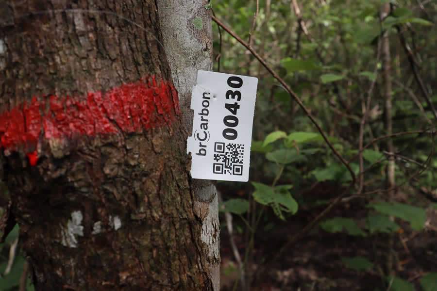 brCarbon passa a integrar a maior iniciativa volunt&aacute;ria de sustentabilidade corporativa do mundo