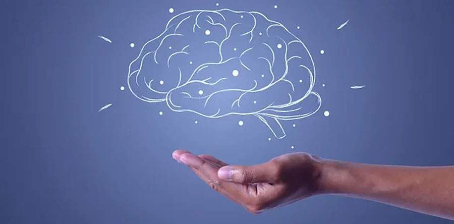 Crédito: Reprodução da internet