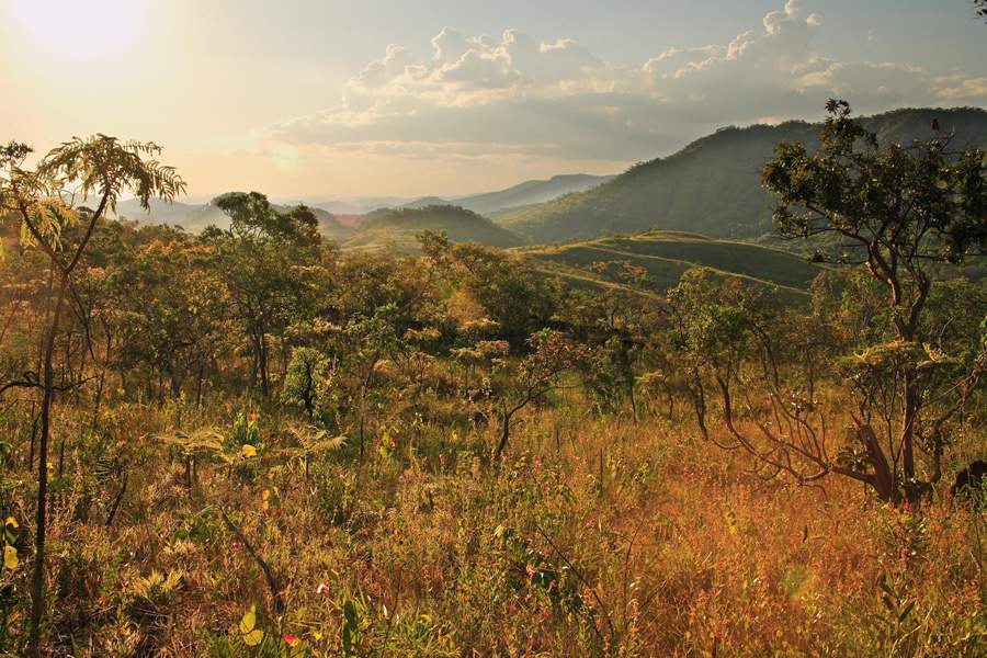 Serra do Tombador, no Cerrado, &eacute; uma das reservas particulares que pertencem &agrave; Funda&ccedil;&atilde;o Grupo Botic&aacute;rio