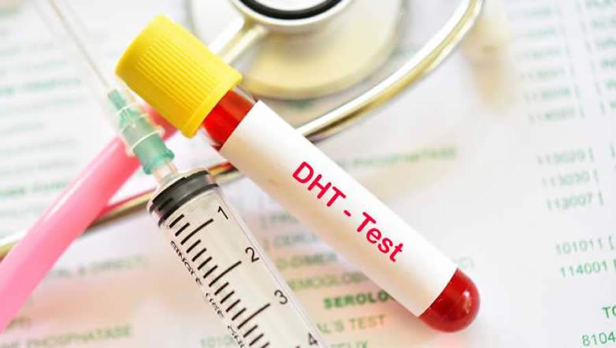 Crédito: Divulgação