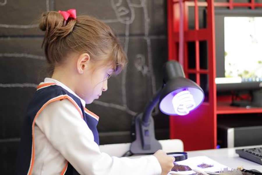 Crédito :Divulgação  