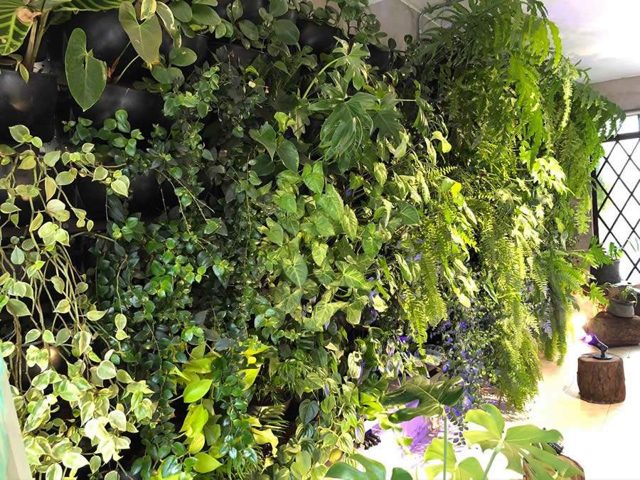 Confira 9 benef&iacute;cios do paisagismo e transforme sua casa e ambiente de trabalho em 2021