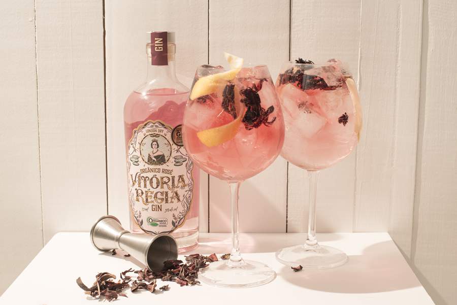 Gin T&ocirc;nica Ros&eacute;