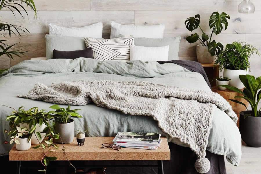 Plantas no quarto ajudam a purificar e umedecer o ar e podem garantir uma noite de sono mais tranquila