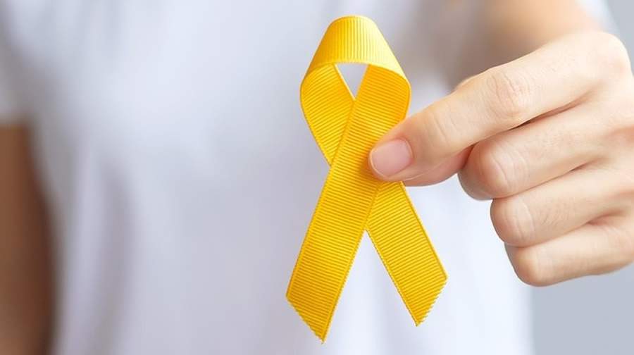 Cr&eacute;dito Divulga&ccedil;&atilde;o