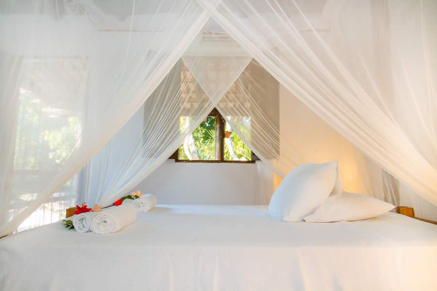 Carnaval Em Trancoso à Prova de Chuva