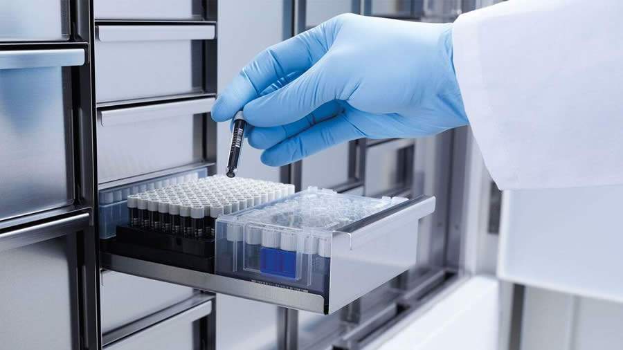 Pandemia impulsiona maior efici&ecirc;ncia na log&iacute;stica