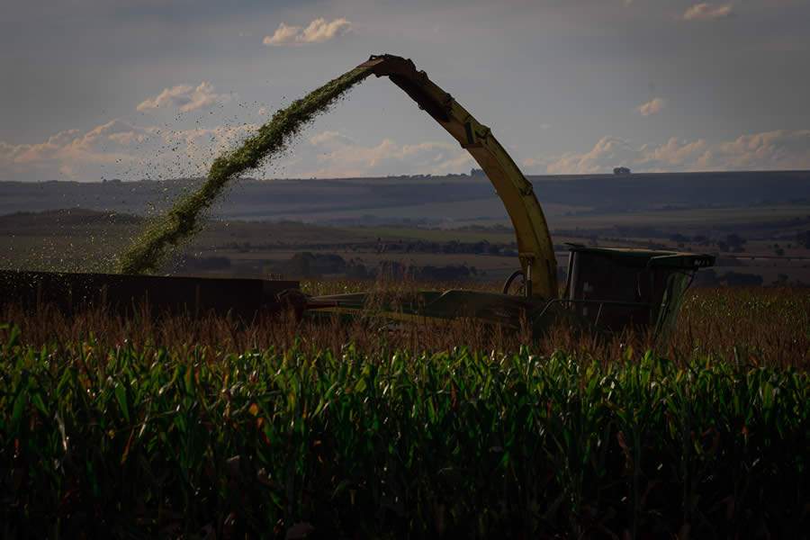 Foto: Wenderson Araujo/CNA