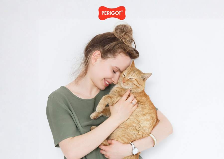 Crédito: Divulgação 