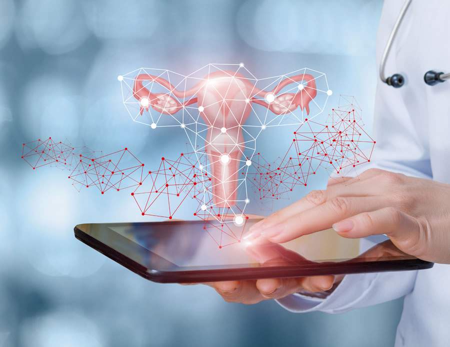 Crédito: Divulgação